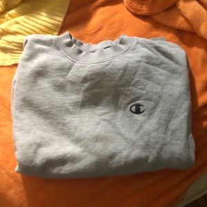 gray champion sweatshirt